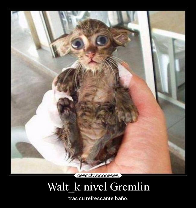 Walt_k nivel Gremlin - 