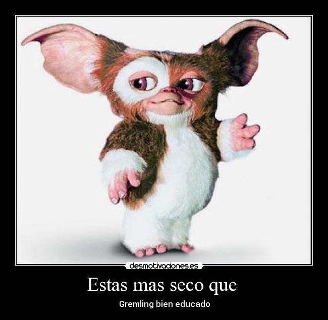 Estas mas seco que  - Gremling bien educado