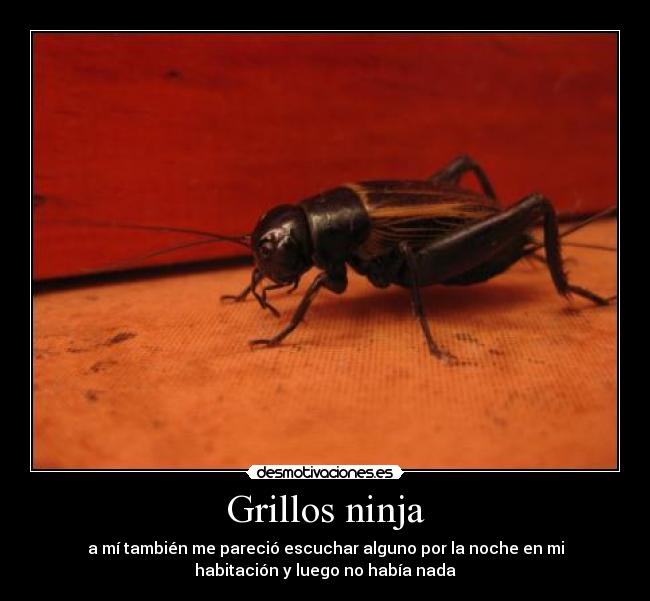 carteles grillos ninja desmotivaciones