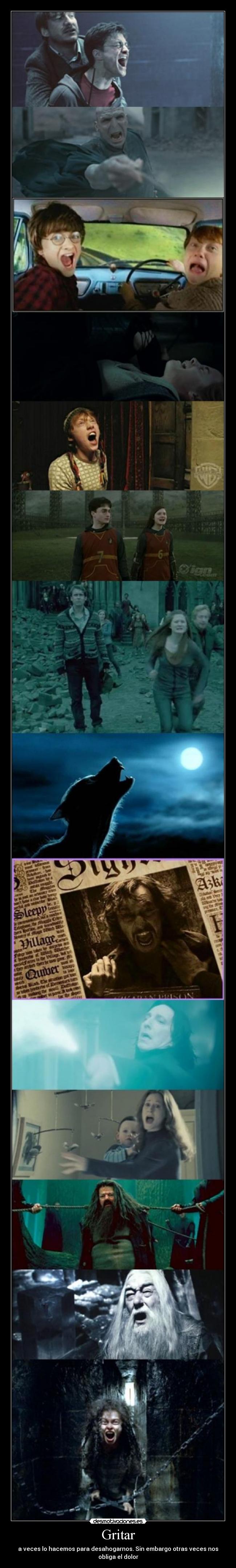 carteles gritar harry potter dolor hermione ron bellatris sirius dumbledore lupin hagrid ginny desahogarnos desmotivaciones