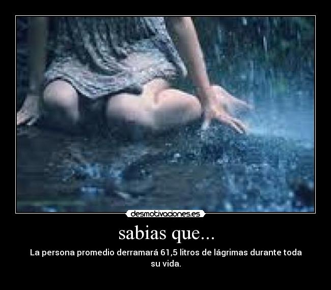 sabias que... -