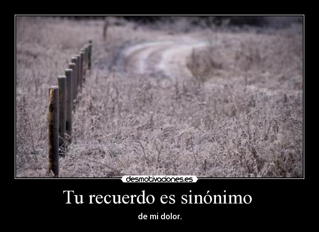 Tu recuerdo es sinónimo  - 
