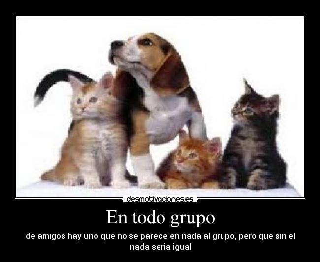 En todo grupo -