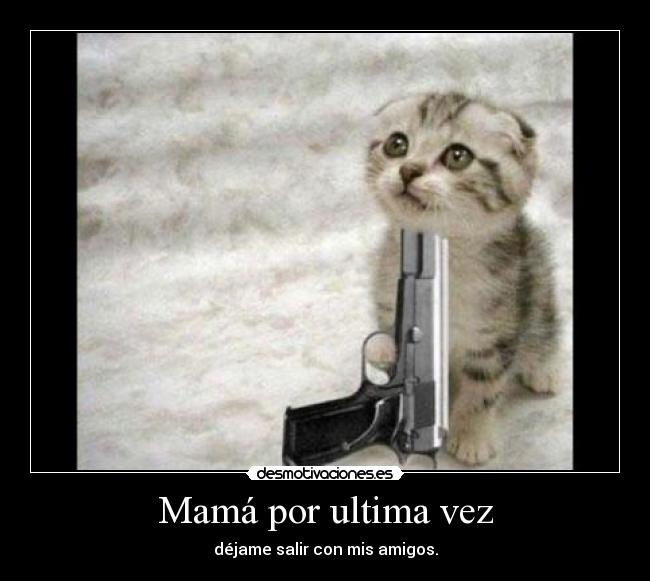 carteles amigos desmotivaciones