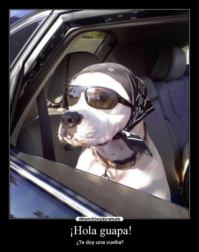 ¡Hola guapa! -