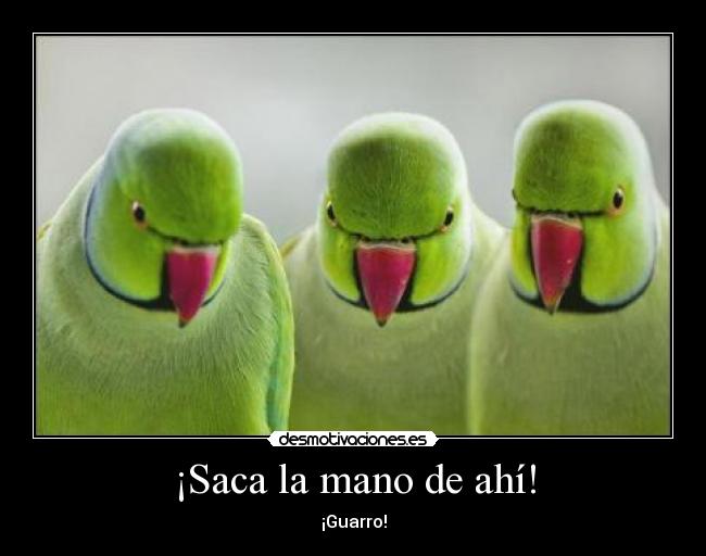 ¡Saca la mano de ahí! - 