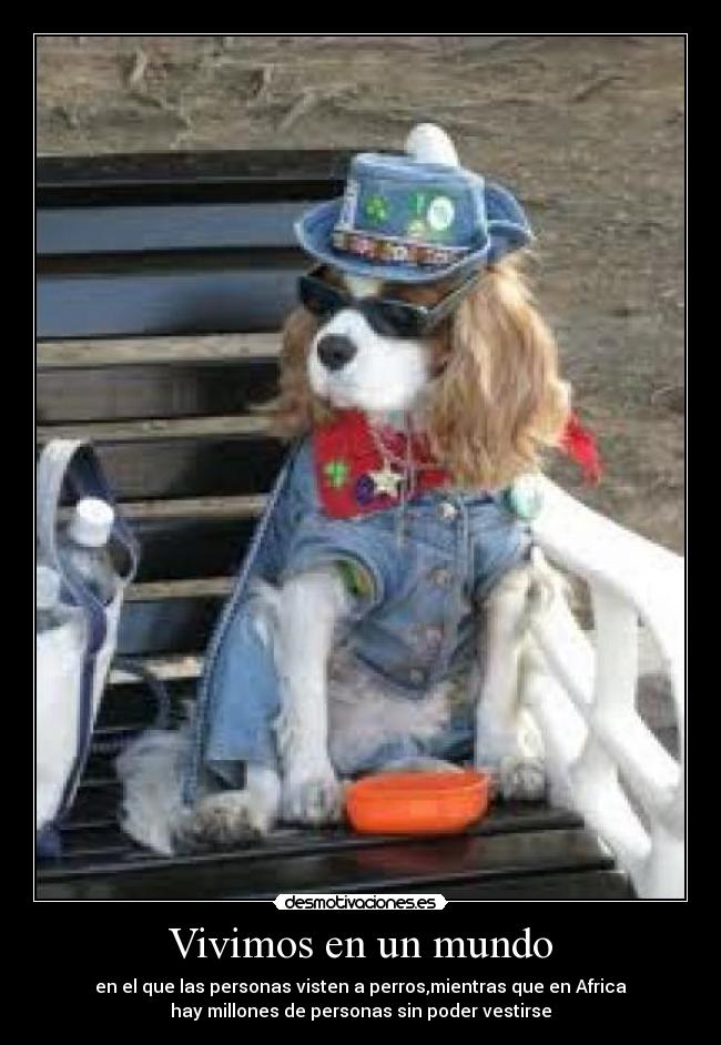Vivimos en un mundo - en el que las personas visten a perros,mientras que en Africa
hay millones de personas sin poder vestirse