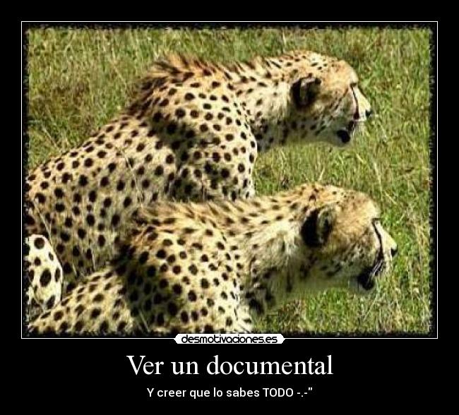 Ver un documental - 