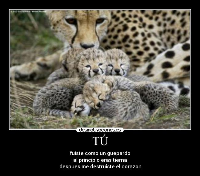 TÚ - fuiste como un guepardo
al principio eras tierna
despues me destruiste el corazon