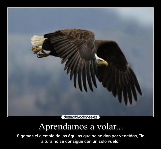 Aprendamos a volar... -
