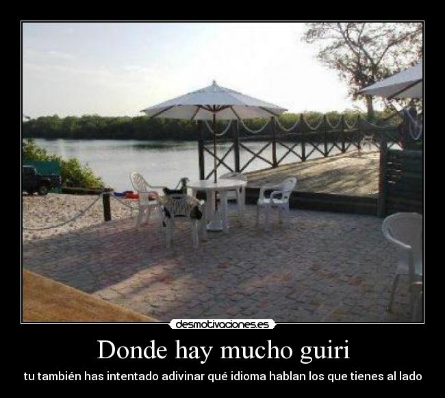 Donde hay mucho guiri -