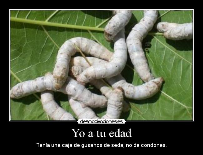 Yo a tu edad -