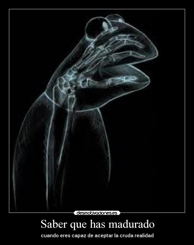 Saber que has madurado - cuando eres capaz de aceptar la cruda realidad