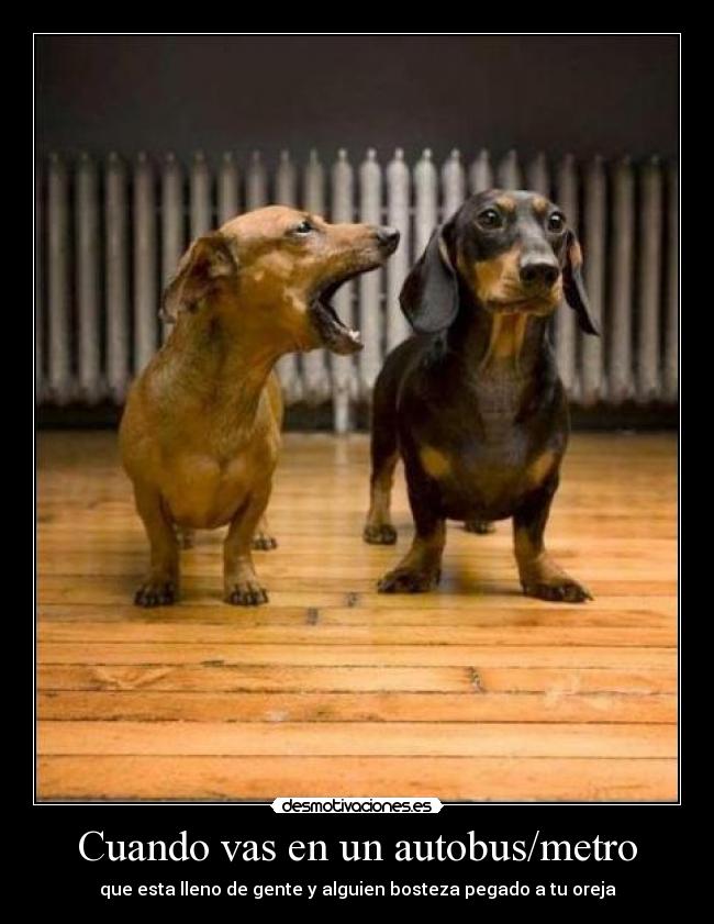 Cuando vas en un autobus/metro - que esta lleno de gente y alguien bosteza pegado a tu oreja