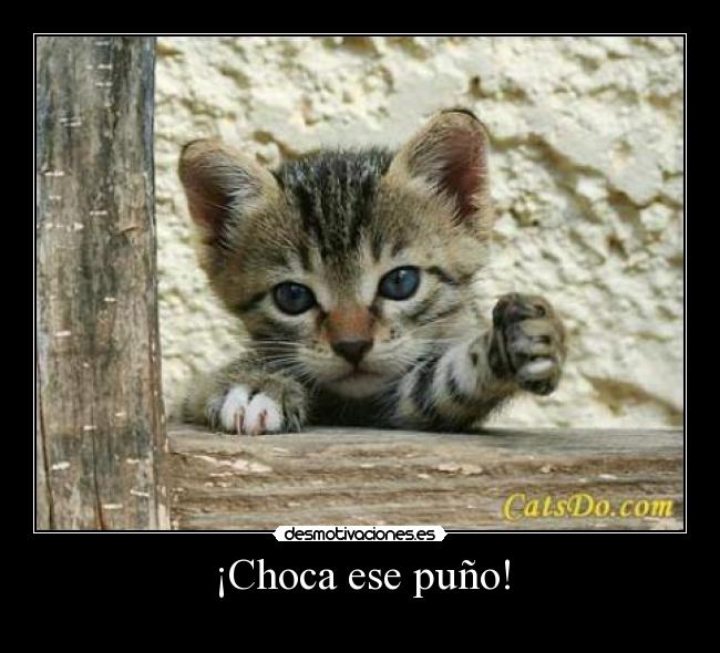 ¡Choca ese puño! -