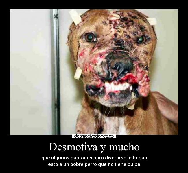 Desmotiva y mucho -