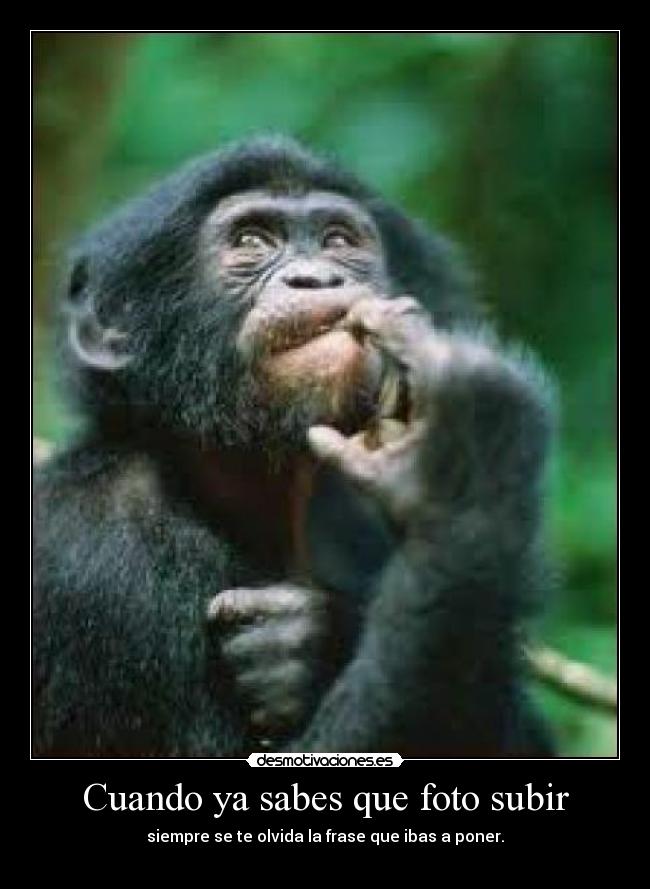 Cuando ya sabes que foto subir - 