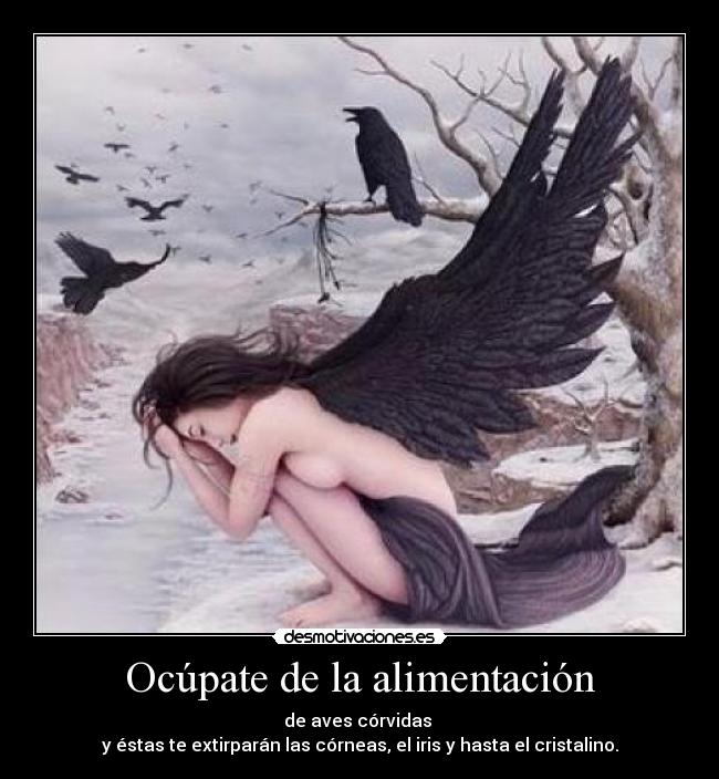 Ocúpate de la alimentación - de aves córvidas 
y éstas te extirparán las córneas, el iris y hasta el cristalino.