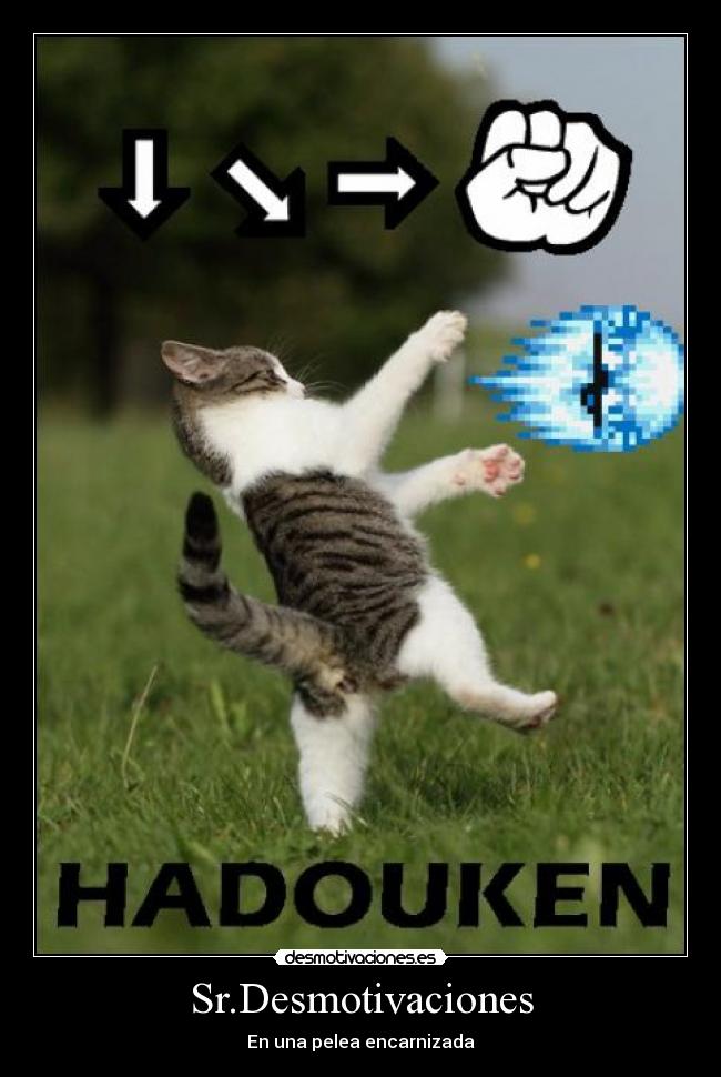 Sr.Desmotivaciones - En una pelea encarnizada