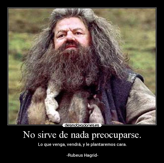 No sirve de nada preocuparse. - Lo que venga, vendrá, y le plantaremos cara.
-Rubeus Hagrid-