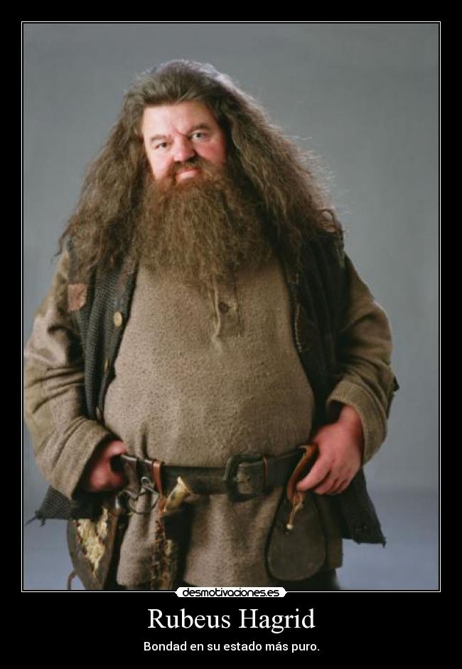 Rubeus Hagrid -