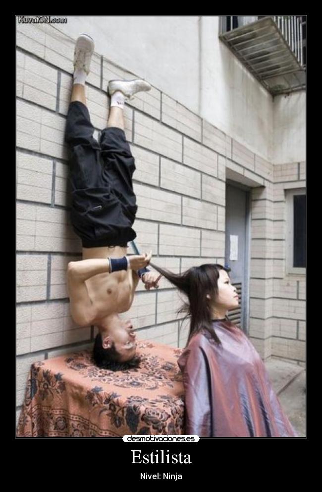 Estilista - Nivel: Ninja