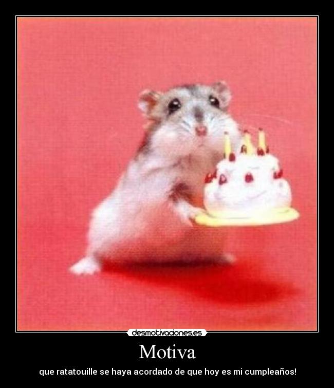 Motiva - que ratatouille se haya acordado de que hoy es mi cumpleaños!