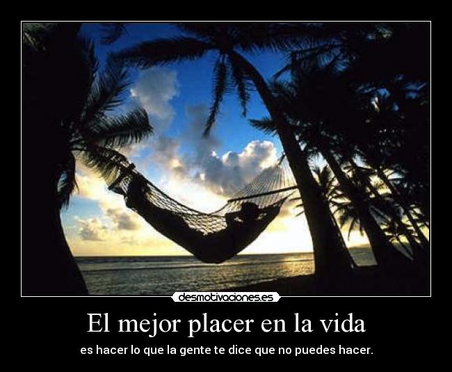 carteles vida mejor placer vida desmotivaciones