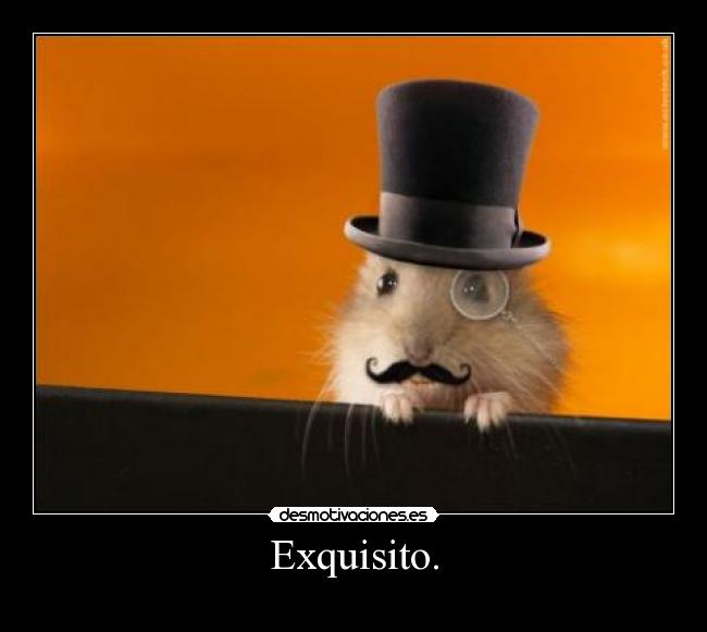 Exquisito. - 