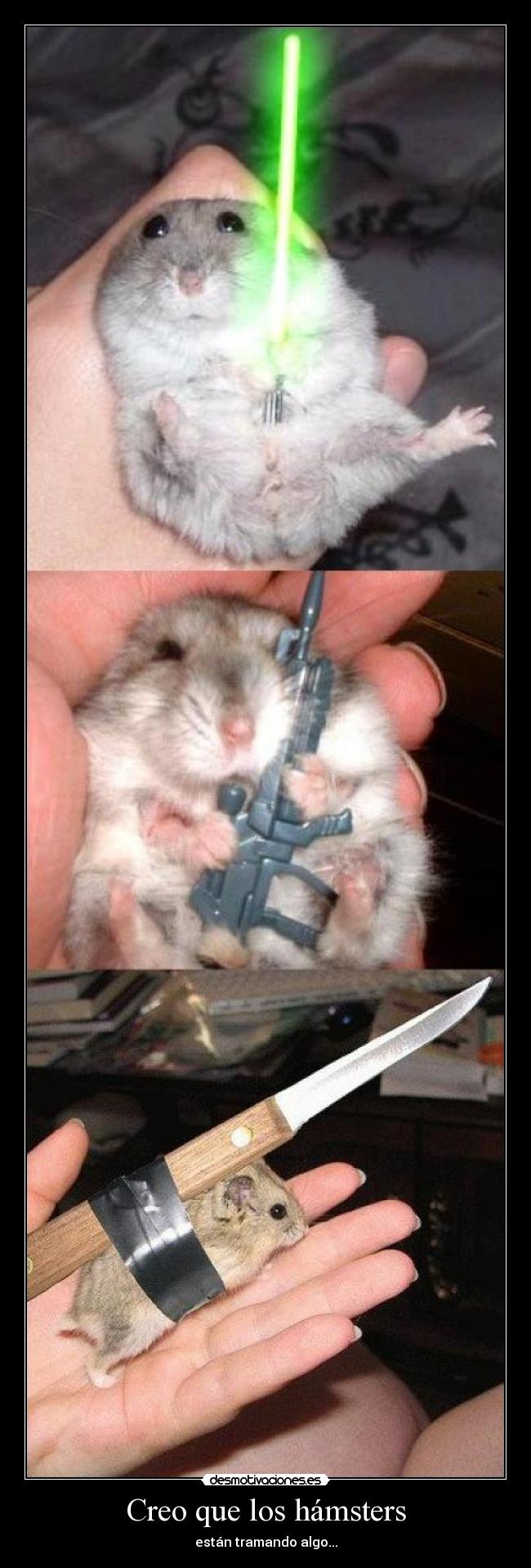Creo que los hámsters - 