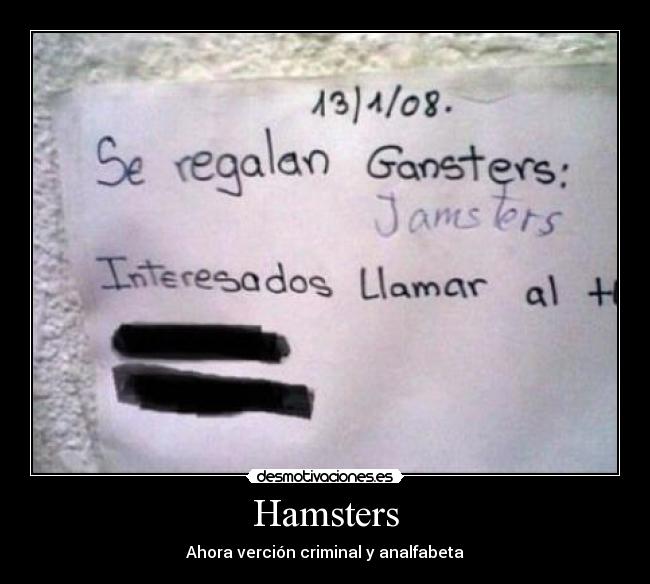 Hamsters - Ahora verción criminal y analfabeta