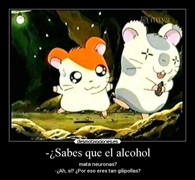 -¿Sabes que el alcohol -