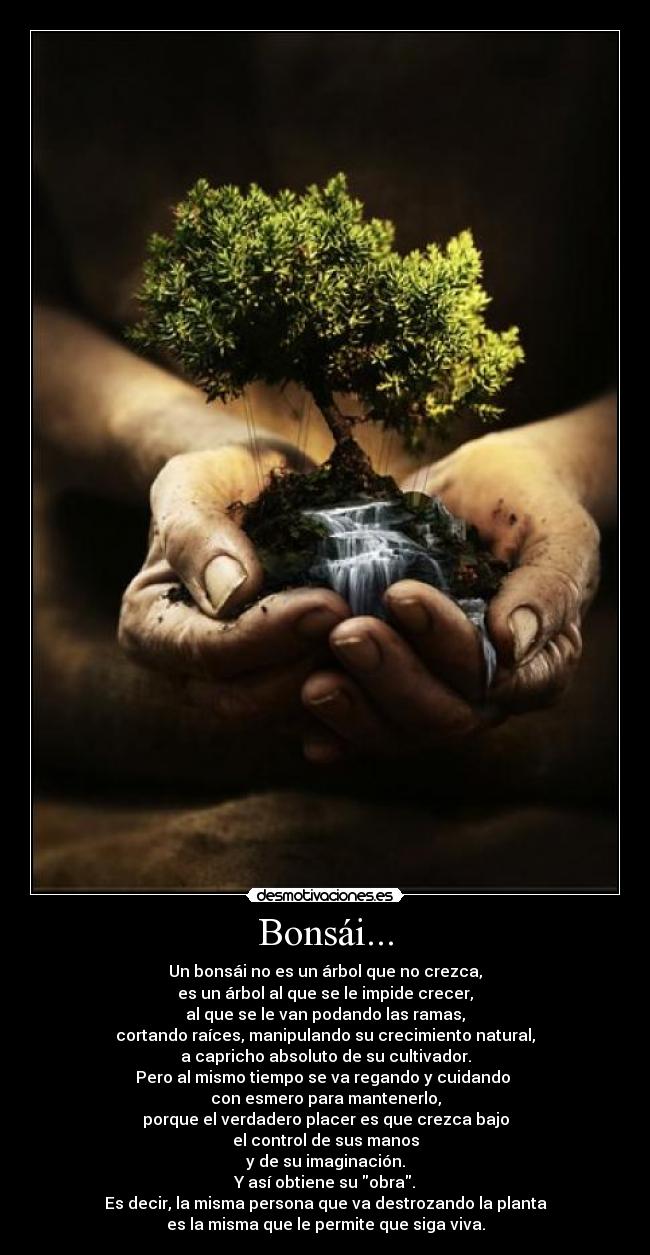 Bonsái... - 