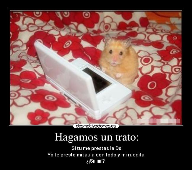 carteles hamsterconsolarueditaternura desmotivaciones