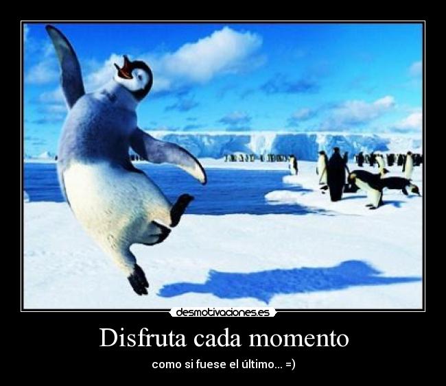 Disfruta cada momento - 