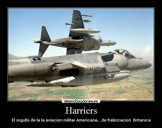 Harriers - 