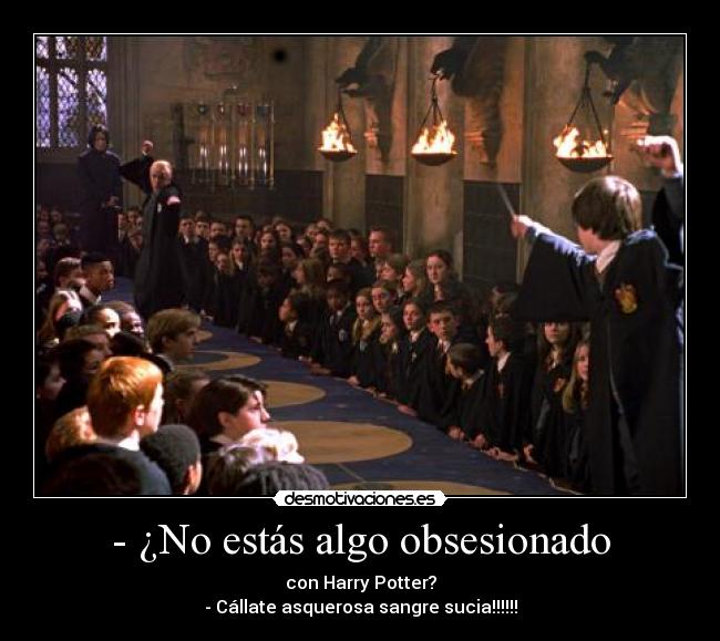 - ¿No estás algo obsesionado - con Harry Potter?
- Cállate asquerosa sangre sucia!!!!!!