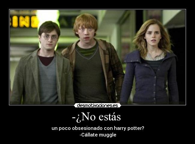 -¿No estás - un poco obsesionado con harry potter?
-Cállate muggle
