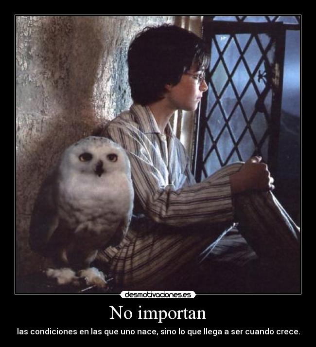 No importan - 