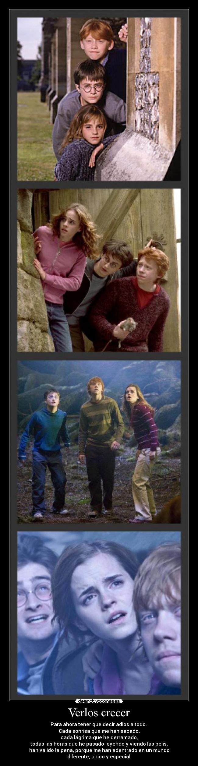 Verlos crecer - 