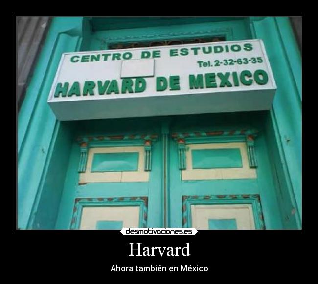 Harvard - 