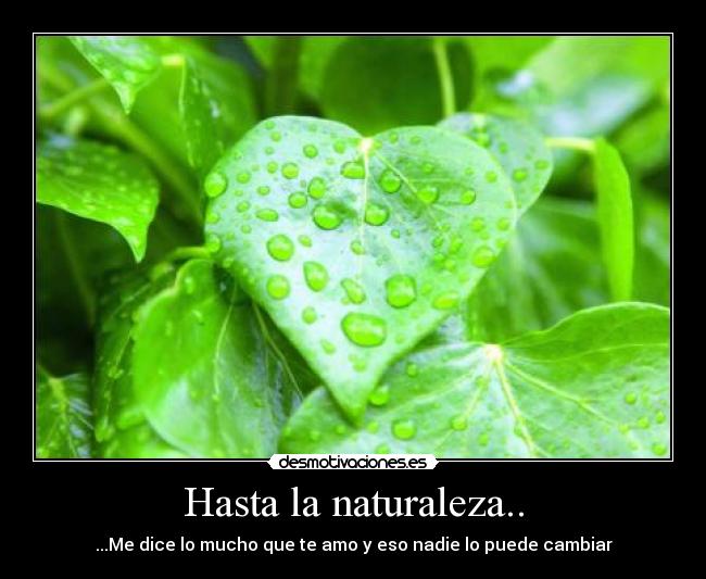 carteles naturaleza cool desmotivaciones