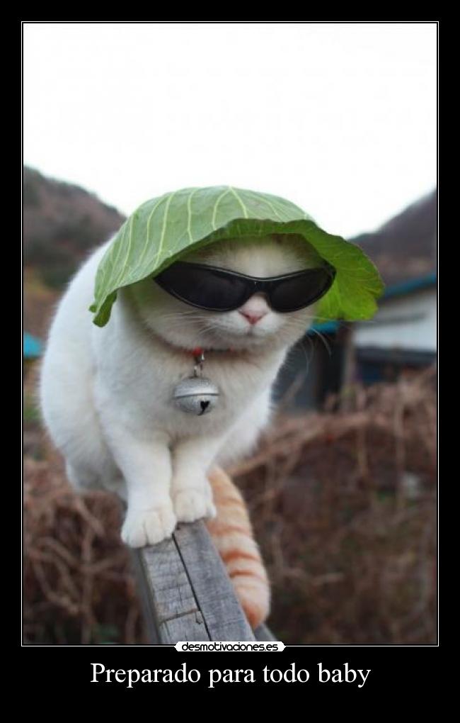Preparado para todo baby - 