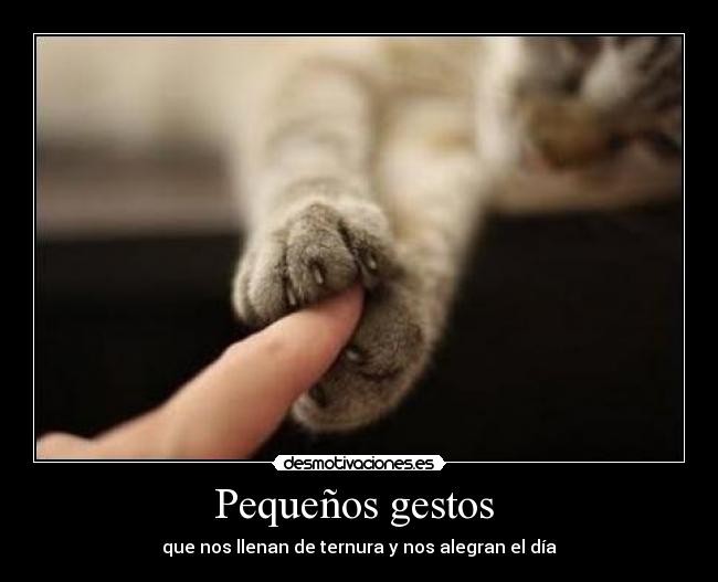 Pequeños gestos -