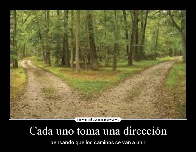 carteles cada uno toma una direccion desmotivaciones