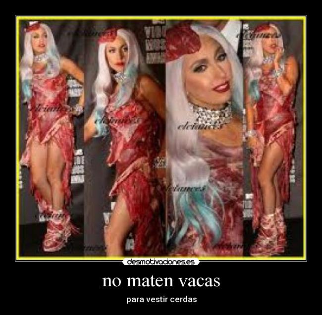 no maten vacas - 