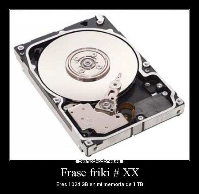 Frase friki # XX - Eres 1024 GB en mi memoria de 1 TB