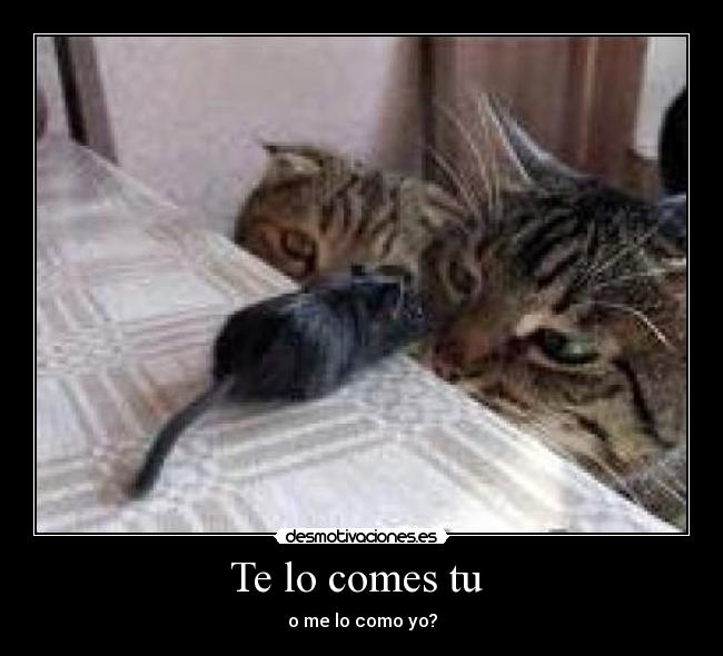 Te lo comes tu - o me lo como yo?