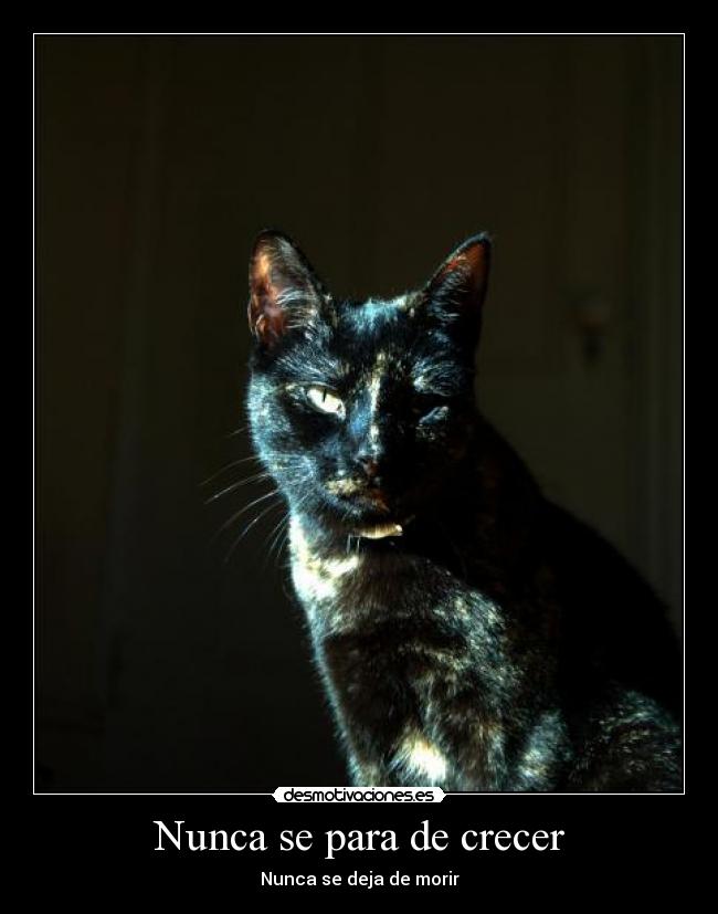 Nunca se para de crecer -