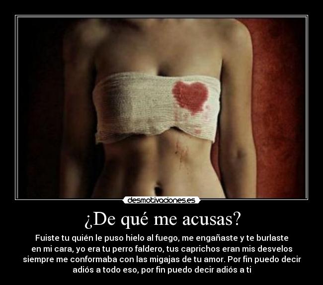 ¿De qué me acusas? - Fuiste tu quién le puso hielo al fuego, me engañaste y te burlaste
en mi cara, yo era tu perro faldero, tus caprichos eran mis desvelos
siempre me conformaba con las migajas de tu amor. Por fin puedo decir
adiós a todo eso, por fin puedo decir adiós a ti